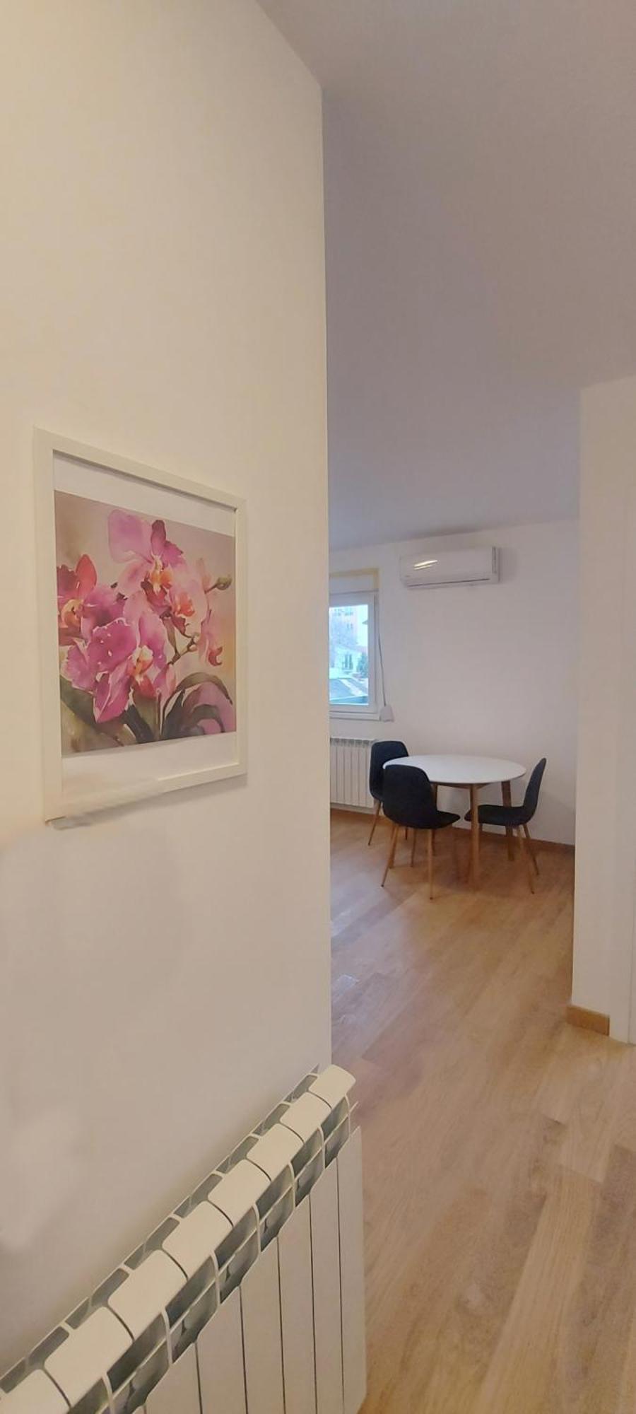 Magenta Zvezdara Daire Belgrad Dış mekan fotoğraf